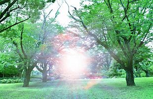 コロナウイルス関連で生じるうつ気分の改善法（4）