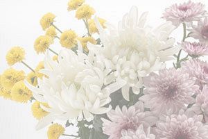 未来図建設、故菅原道之会長を偲ぶ「お別れの会」を4月16日に開催