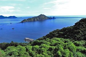 “日本人らしさ”のルーツと和解