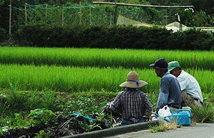 「何かがおかしい」地方創生4年目の真実（２）