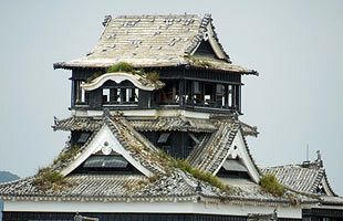 熊本城から贈られたエール、屋根に咲いた菜の花