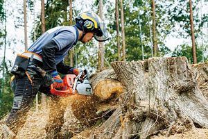 魂の継承と新たな挑戦、ライザンフォレストリー・吉村翼さんが拓く特殊伐採の世界
