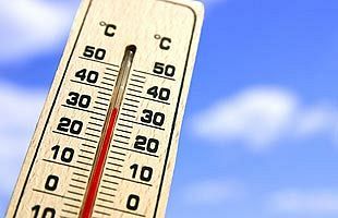 短時間でも熱中症の危険性～JAFが真夏の車内温度を検証
