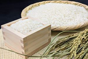 【業界を読む：コメ業界】米価統制の代償、価格介入が壊すコメの市場原理と農の安全保障