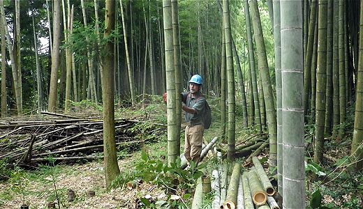 『脊振の自然に魅せられて』福岡市で唯一の渓谷「野河内渓谷」を甦らせよう（６）