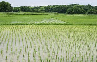 続・鹿児島の歴史（3）～平安時代～