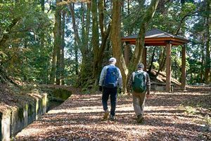 『脊振の自然に魅せられて』すばらしい脊振の紅葉（2）