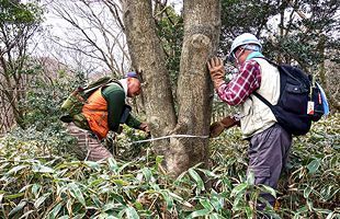 『脊振の自然に魅せられて』「第3回ブナ林調査」