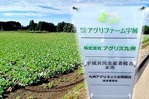 【経済事件簿 続報】誰が騙し、誰が騙されたのか 相次いで原告有利の判決