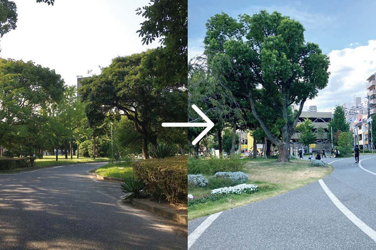 「飾る緑」と「気候インフラ」福岡市都市緑化の課題と海外事例