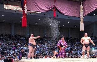 不憫でならない横綱・稀勢の里～引退のススメ