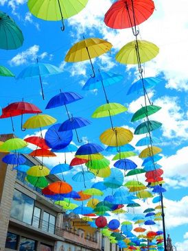 傘の日﻿​