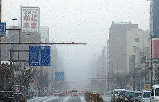 立春寒波で福岡市も雪