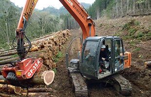 林業の大隅と歴史の飫肥　現有資産の最大限活用で地域活性化（前）