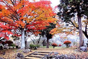 古城の秋 猪苗代城址の紅葉(城郭見取図付)