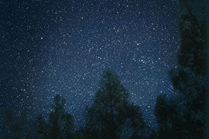 UFO情報の開示を命じたトランプ大統領：三島由紀夫もあの世で注目！