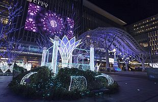JR博多駅前が光に包まれる～JR博多シティ「光の街・博多」