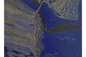 【異色の芸術家・中島氏（40）】アトリエメモランダム「不死鳥」