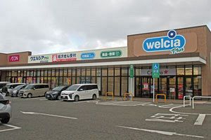 【業界を読む】ドラッグストアの寡占化加速 大手5社のシェア5割超に