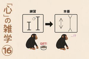 「心」の雑学（16）動物も錯覚している？～錯視から動物の見る世界をのぞく～