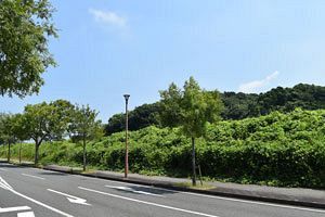【クローズアップ】半導体産業を市の新たなエンジンに 「シリコン・シティ北九州」実現に向けて