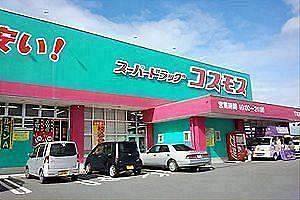コスモス薬品、今期関東に約30店舗出店予定　全体では約100～120店舗出店