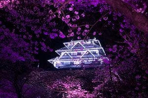 福岡城で「天守閣」が再登場