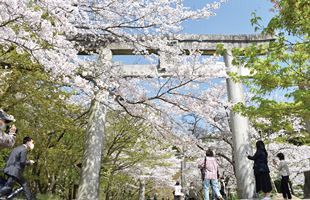 100年後も人が集い、憩う場所へ竈門神社に見る神社の在り方（後）