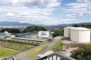 隠れた住民憩いの公園「平和南緑地」