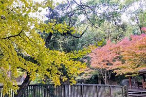 西公園の遊戯施設更新、森園芸場などが落札