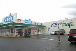 寡占化強まるドラッグストア 大手5社シェア、5割超す