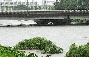 福岡市南区井尻橋付近の那珂川の状況