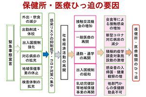 新型コロナに関する自民党内議論～保健所の立場から見た、有事に柔軟かつ迅速に対応し得る医療提供体制の構築へ