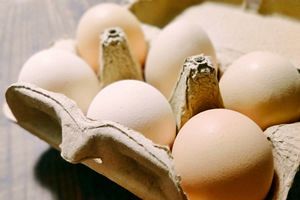 アレルギー表示制度の役割、「卵」は妥当と評価～食品安全委員会