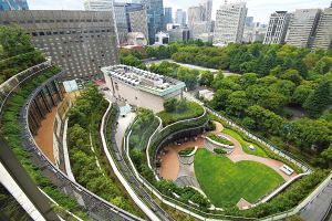 不動産大手による生物多様性　日比谷・大手町・渋谷で積極化する理由