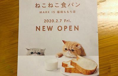 ねこねこ食パンが福岡で食べられるにゃ～2月はマークイズへ行こう
