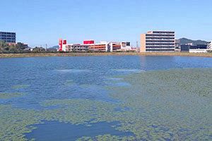 登下校中の小中学生、25年は156人が人身事故に