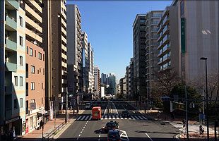 【２/17】日経平均株価（前場）～再び１万６千円割れ