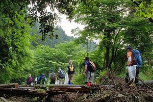 【脊振の自然に魅せられて】ジョイント脊振清掃登山（前）