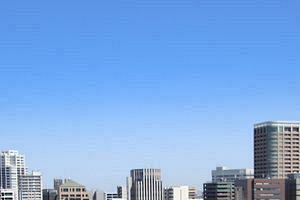 新日本製薬、25年9月期決算　増収増益も純利益減