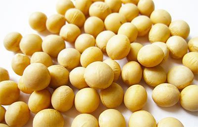 ニチモウバイオ、大豆由来機能性原料で子宮内膜症の月経痛に対する有効性を確認