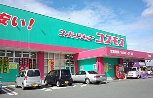 コスモス薬品、関東進出本格化～8月までに8店連続出店