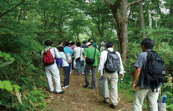 森林セラピーの第一人者・日本医科大学の李卿医師～森林浴の抗ストレス作用・免疫活性を科学的に解明（中）