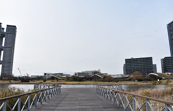 人工島の憩いの場・交流拠点　アイランドシティ中央公園