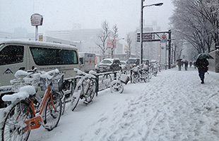 【菅独裁政権に学ぶ（2）】東北人の「強さ・弱さ」