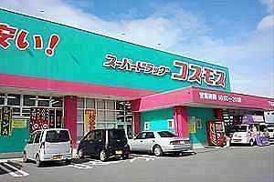 主要10社7月既存店売上高　反動減緩やかに縮小、コスモス薬品、イオン九州、ダイレックスが増収