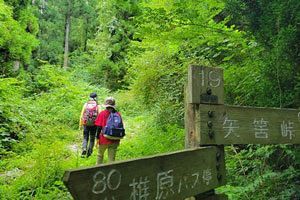 『脊振の自然に魅せられて』「ナツエビネと山カフェ」（前）