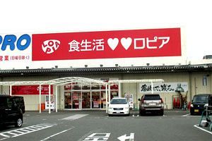 【流通大競争時代】ロピアの快進撃続く 課題は内部充実