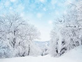 自然電力とスキー競技運営のFWTジャパン、「雪山守る」電力プログラムを開始～電気料金の1％を環境保護活動に