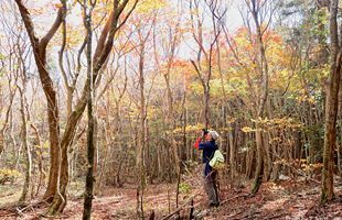 『脊振の自然に魅せられて』～脊振の美しい紅葉